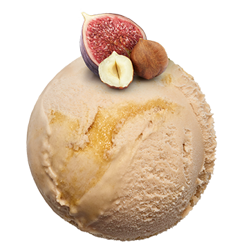 Hazelnut<br><small>with fig sauce</small>